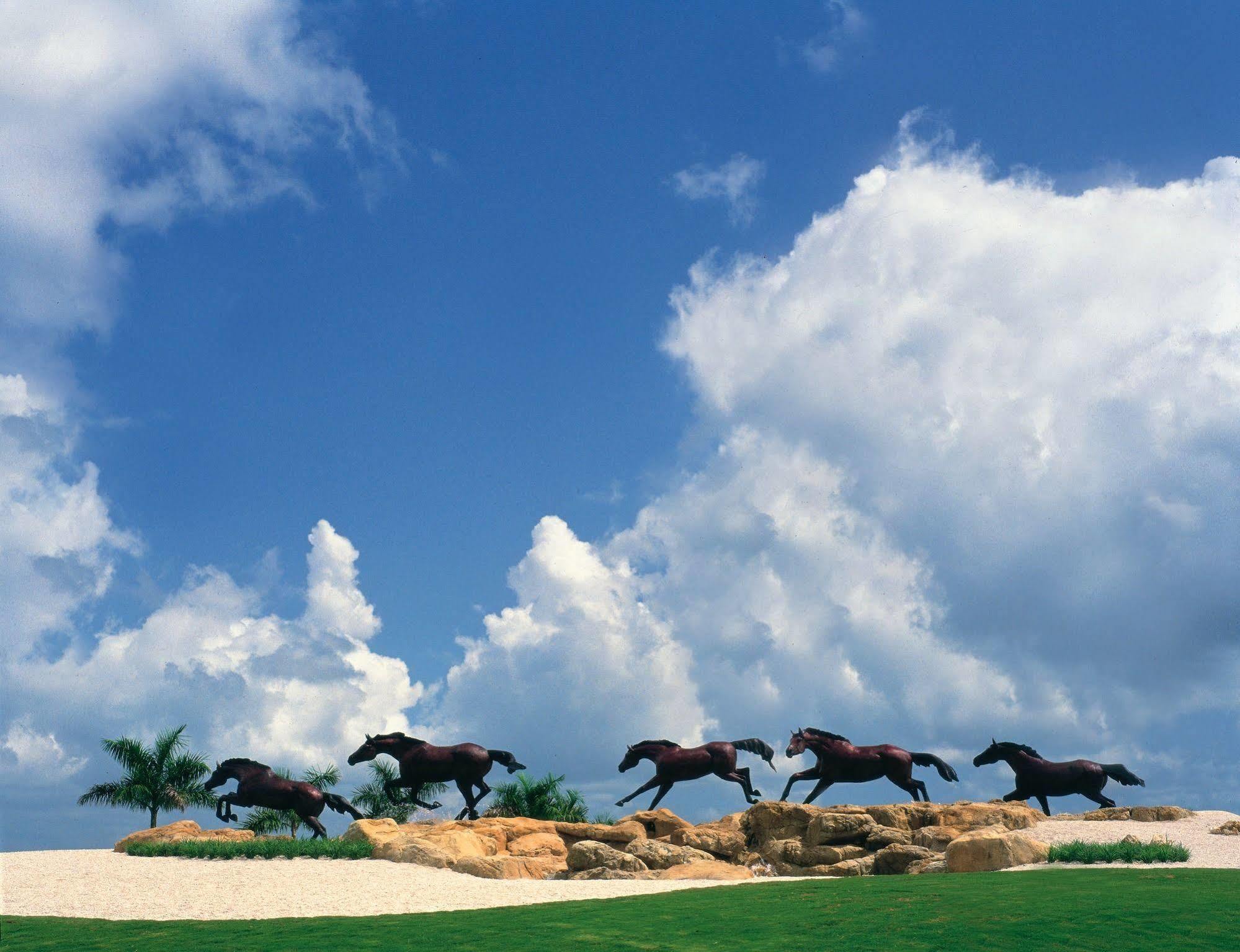 Greenlinks Golf At Lely Resort Naples Manor